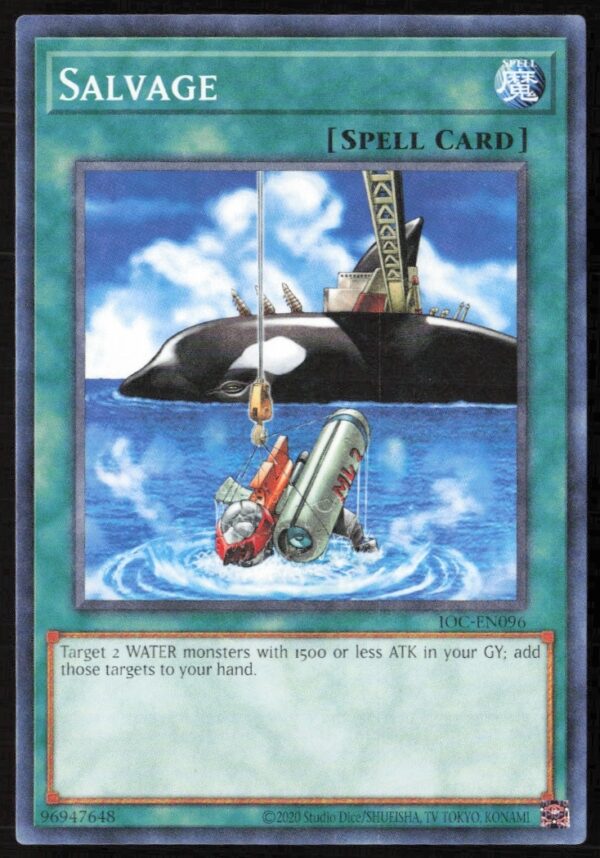 Yu-Gi-Oh! 25th Anniversary Salvage Card, Invasion of Chaos, Front Image, Mystical Artwork.