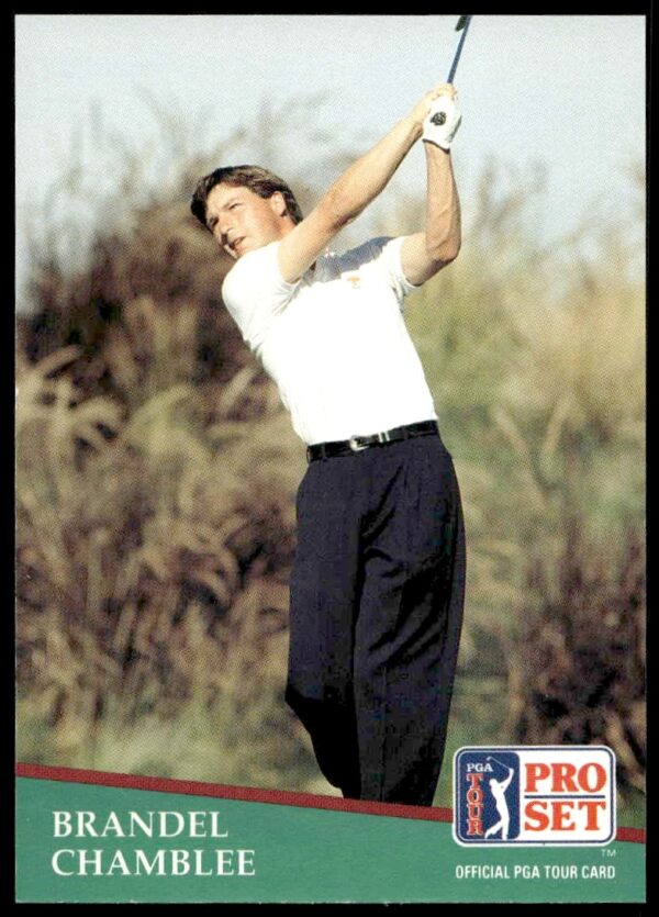 Brandel Chamblee 1991 Pro Set PGA Tour card, swinging on course, number 15.