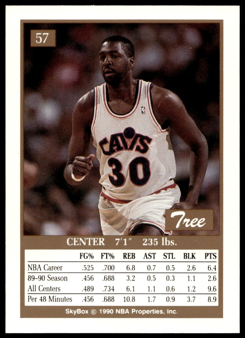 Wayne Rollins 1990-91 SkyBox card back showcasing stats and highlights.