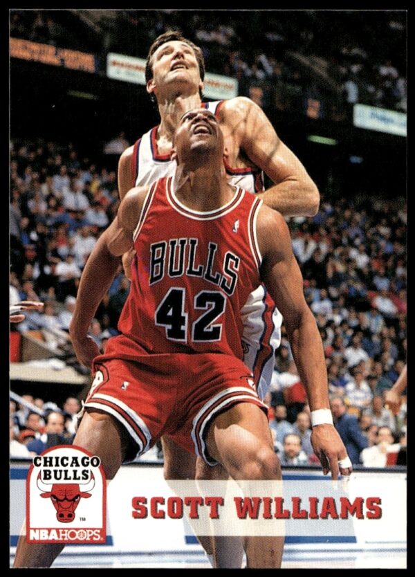 Scott Williams 1993-94 Hoops NBA Basketball Card #33, Chicago Bulls Action Shot.