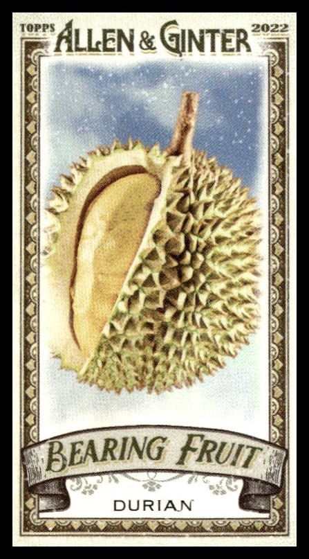 Vintage-style Allen & Ginter durian card with spiky exterior and creamy yellow interior.
