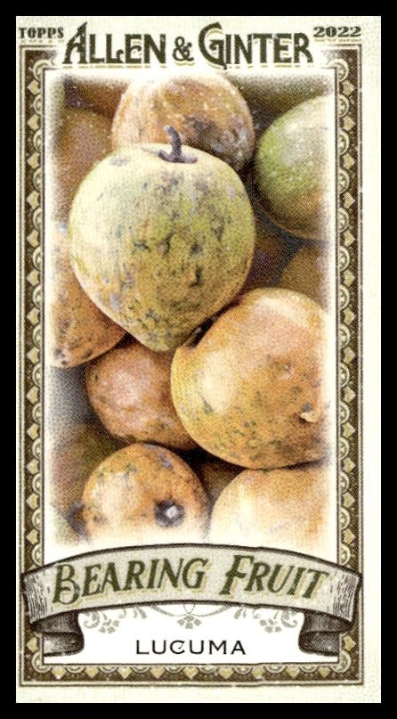 Vintage-style Topps card featuring lucuma fruit, highlighting its Andean origins and distinct sweetness.