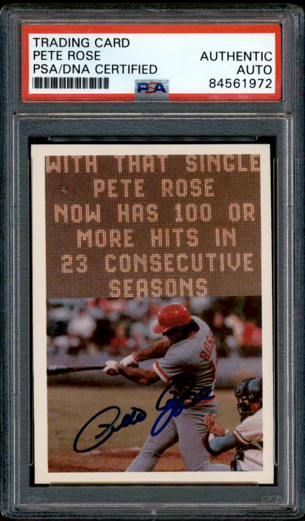 Sunset casts vibrant reflections on tranquil waters.