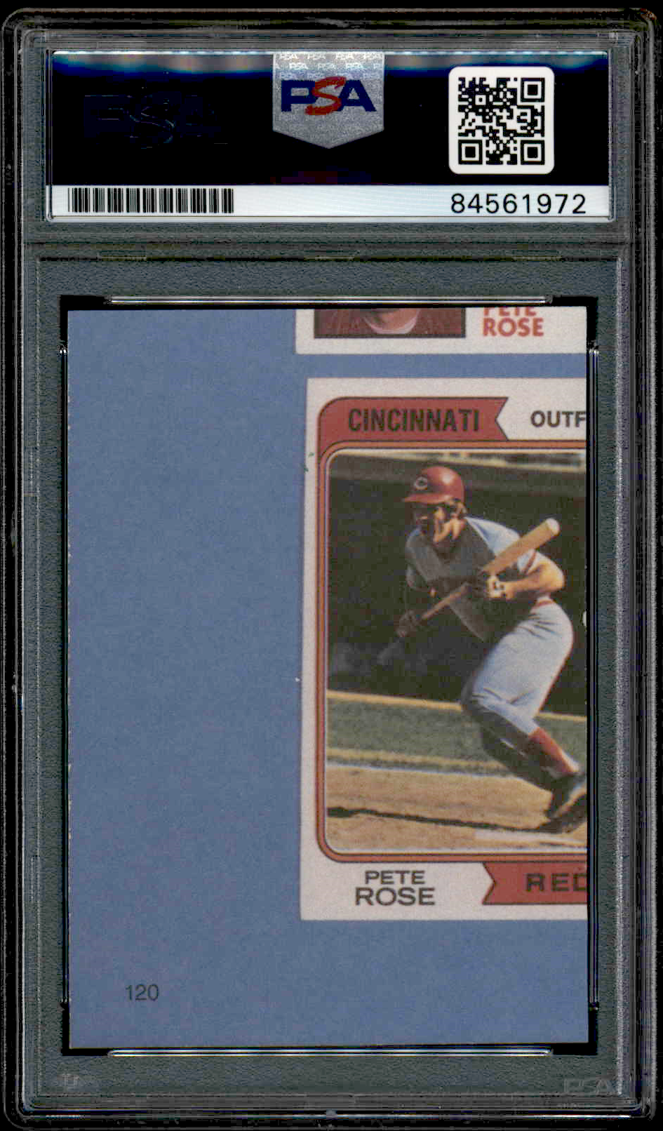 Vibrant sunset reflecting on a calm lake with silhouetted trees.